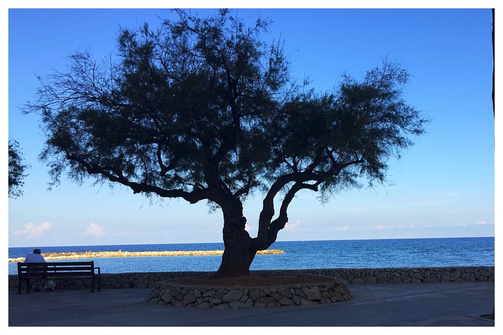 Welcome to mezze & tapas