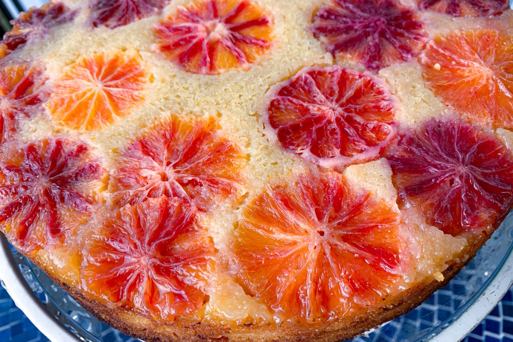 Blood Orange Polenta Tight