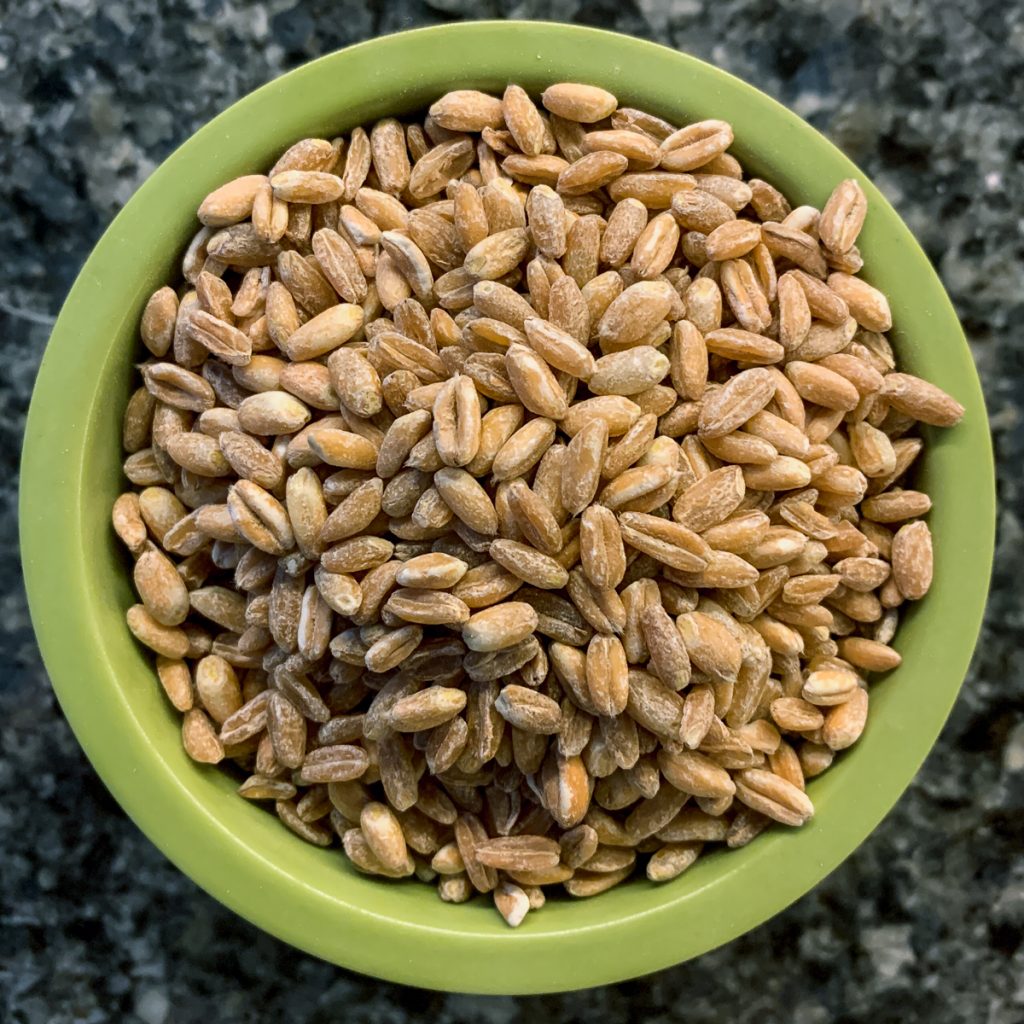 Pearled Farro
