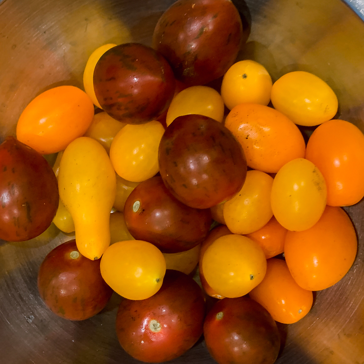 Heirloom Grape Tomatoes