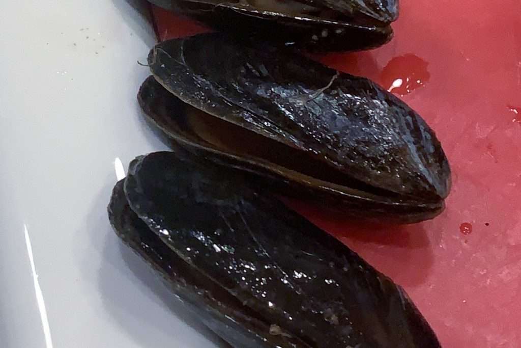 Mussels Live Test Before